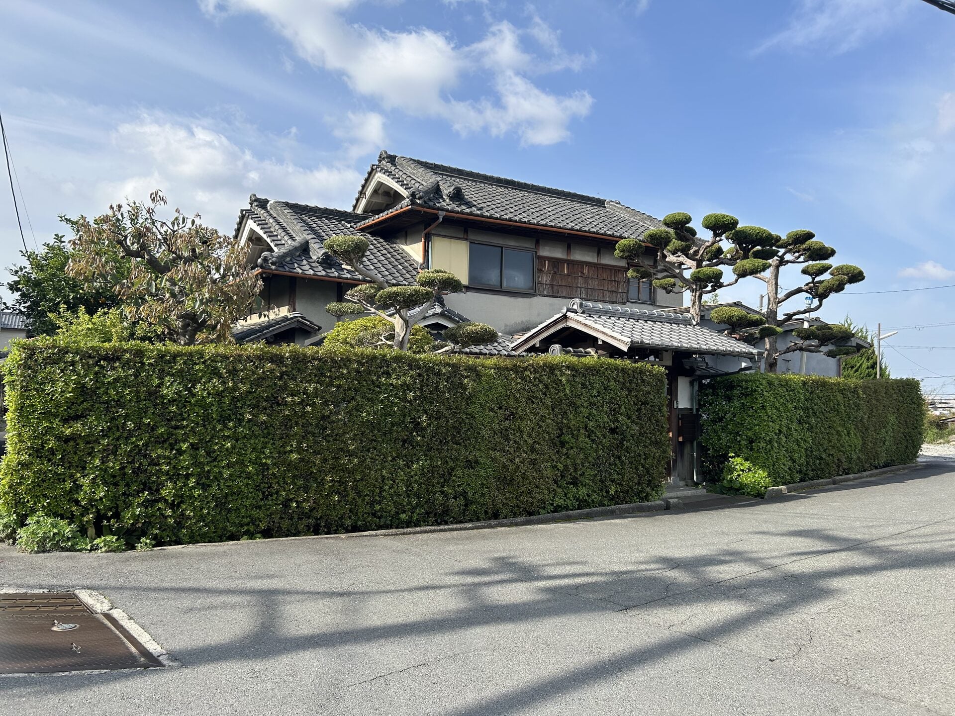 庭全体がわかる写真の例