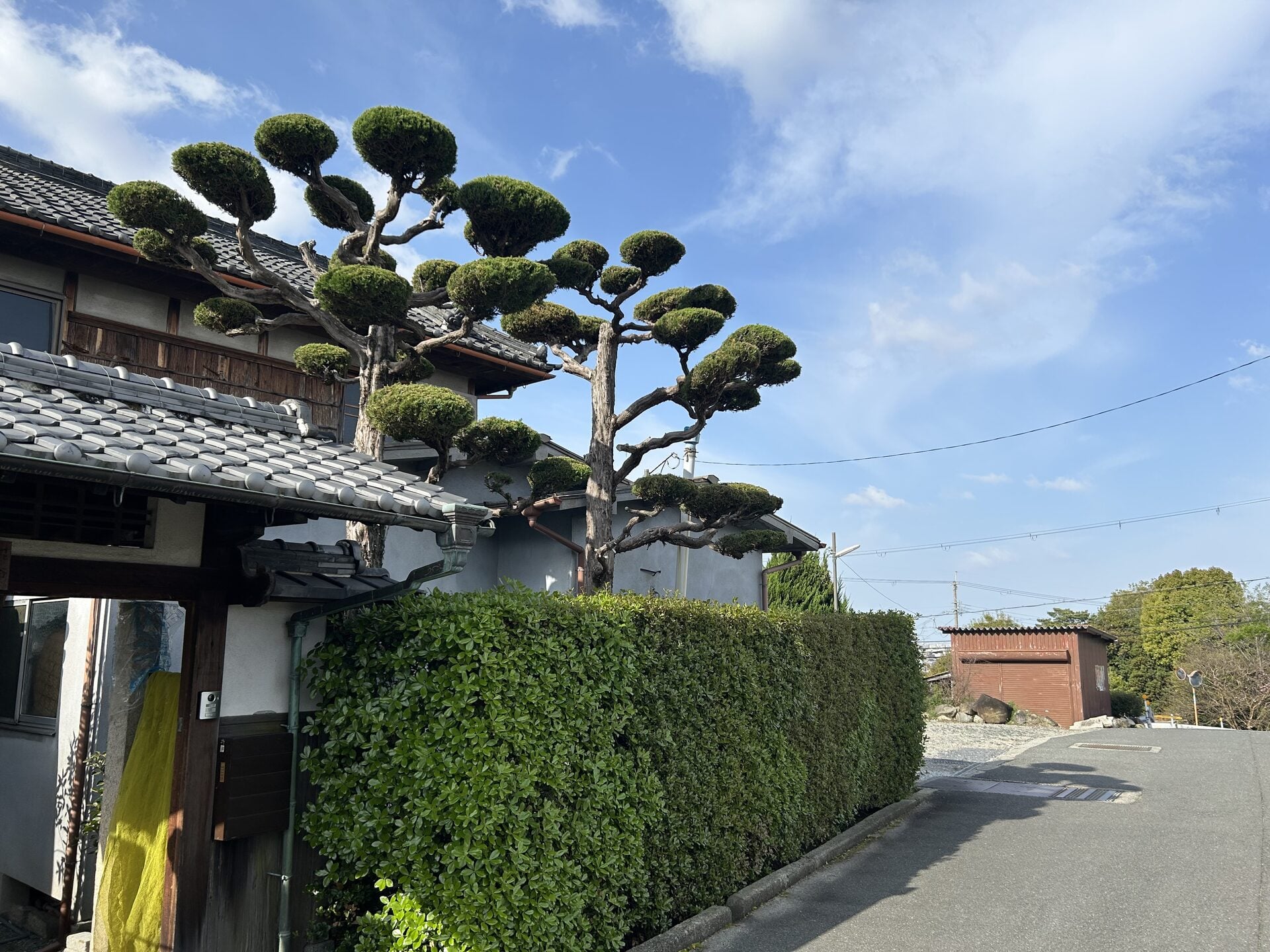 別の角度から撮影した写真の例