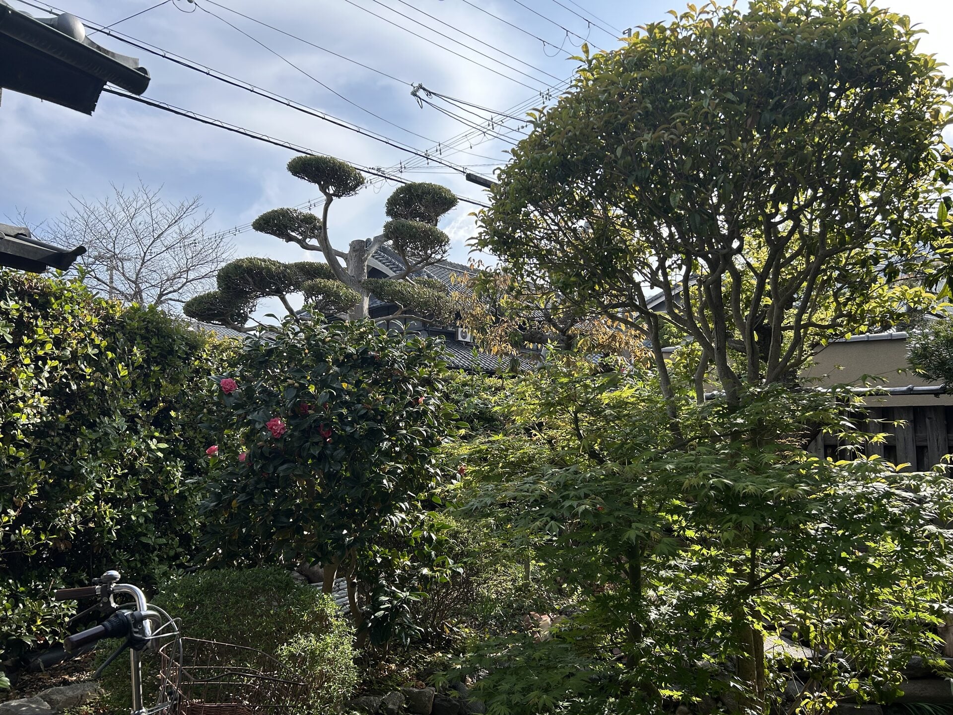 気になる部分をアップで撮影した写真の例